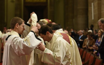 La alegría de las Ordenaciones sacerdotales