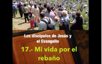 Catequesis 17: Mi vida por un rebaño