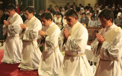 Sacerdotes, seminaristas