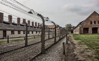 ¿Selfies en Auschwitz?