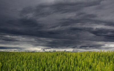 Días grises, por José María Rodríguez Olaizola sj