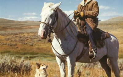 Un hombre un perro y un caballo