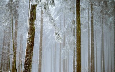 El invierno demográfico ya no es invierno: es infierno