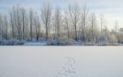 Siberia. Mi Navidad a 35 bajo cero