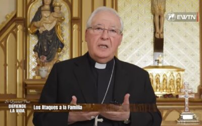 Mons Reig Pla: «Los ataques a la familia»Sin Autor